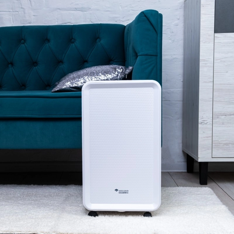 Il deumidificatore MyCond Roomer Smart riduce efficacemente lumidità interna.