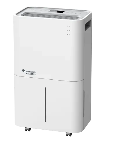 Deumidificatori d'aria residenziali Roomer Eco 25 