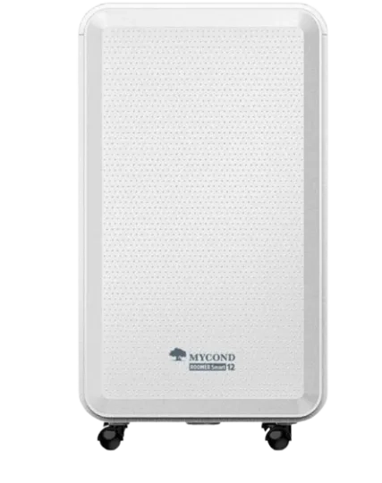 Deumidificatori d'aria residenziali Roomer Smart 12 