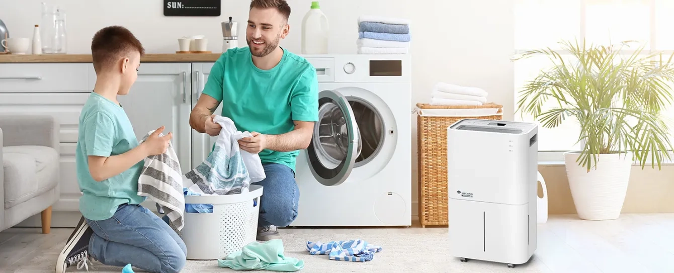 Che cos'è un deumidificatore d'aria e a cosa serve?